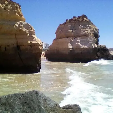 Da Rocha *